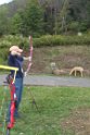 Archery