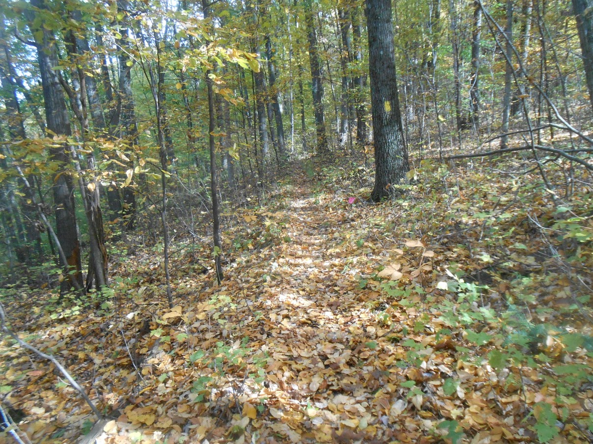 Oil Creek Tableau from Gerard Trail.